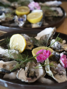 Oysters Iso Bar Bistro Raglan New Zealand